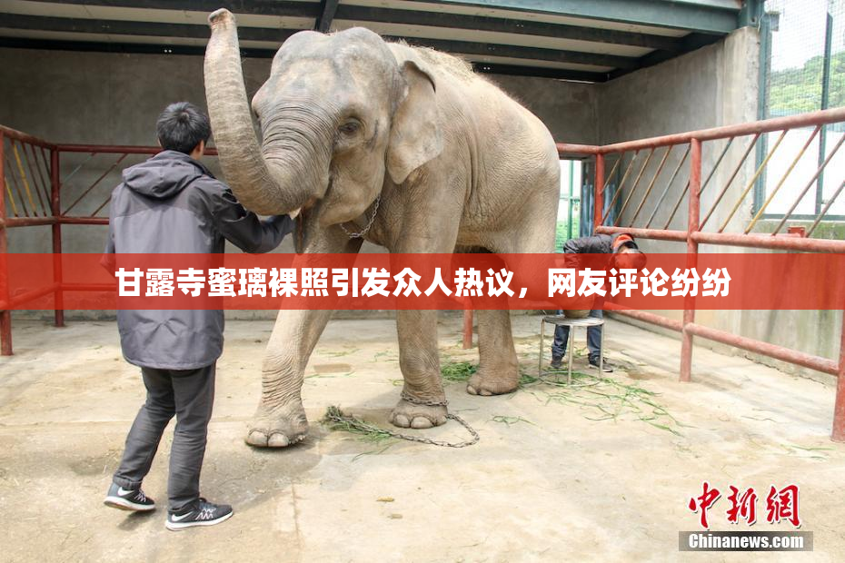 甘露寺蜜璃裸照引发众人热议，网友评论纷纷