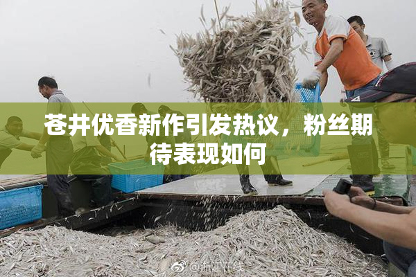 苍井优香新作引发热议，粉丝期待表现如何