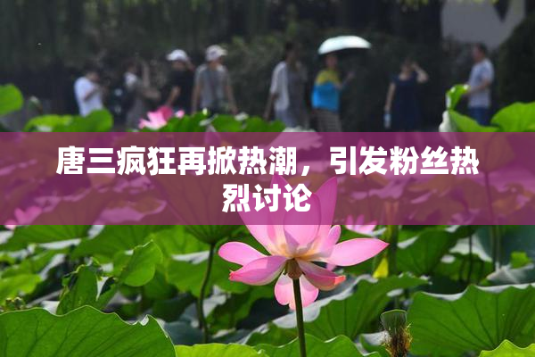唐三疯狂再掀热潮，引发粉丝热烈讨论