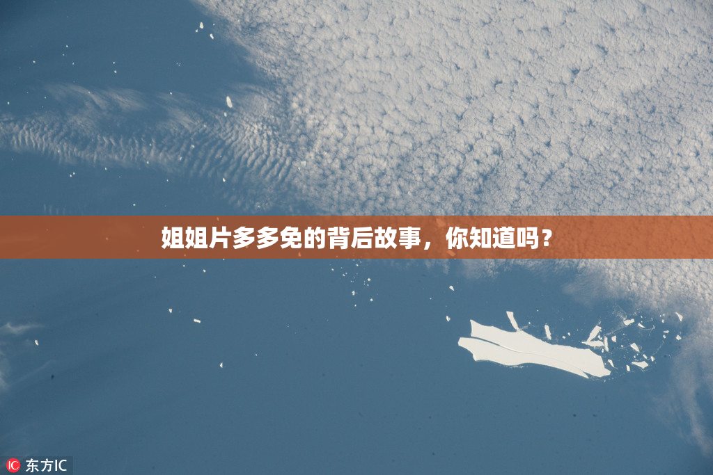姐姐片多多免的背后故事，你知道吗？