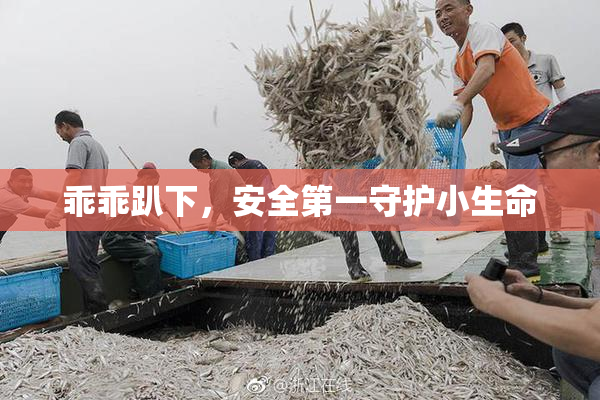 乖乖趴下，安全第一守护小生命