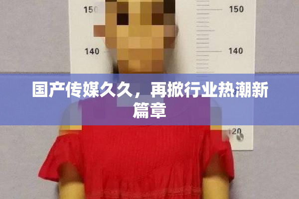 国产传媒久久，再掀行业热潮新篇章