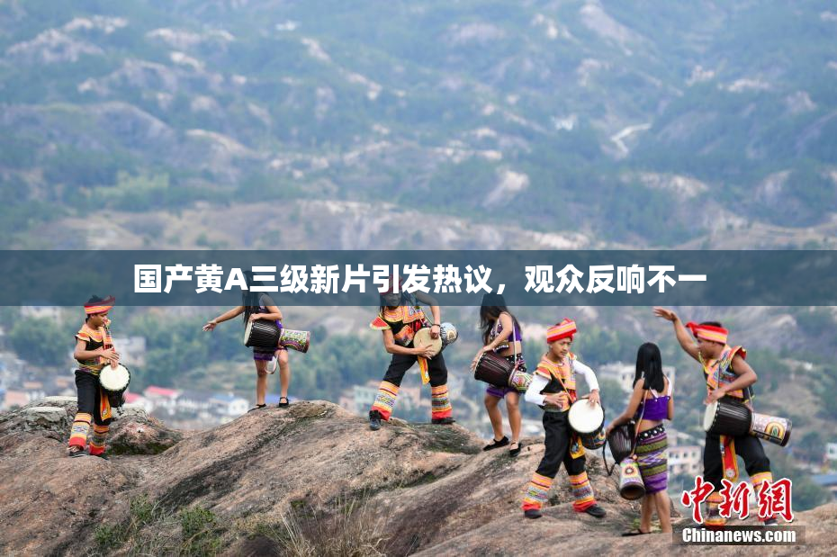 国产黄A三级新片引发热议，观众反响不一