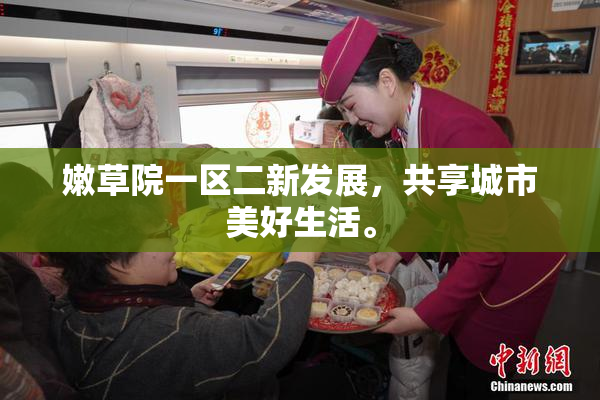 嫩草院一区二新发展，共享城市美好生活。