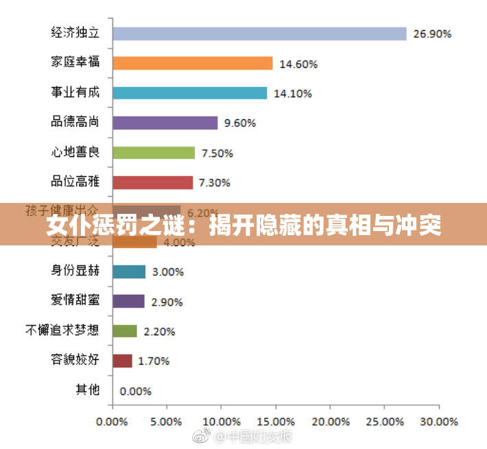 女仆惩罚之谜：揭开隐藏的真相与冲突