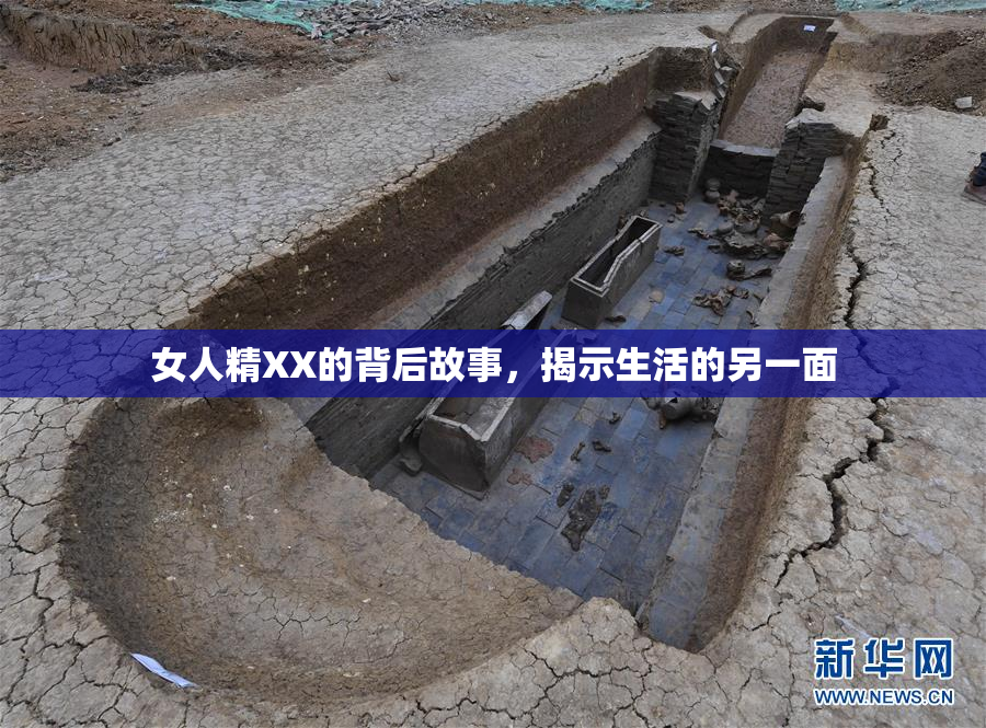 女人精XX的背后故事，揭示生活的另一面