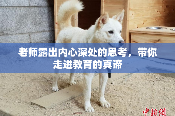 老师露出内心深处的思考，带你走进教育的真谛