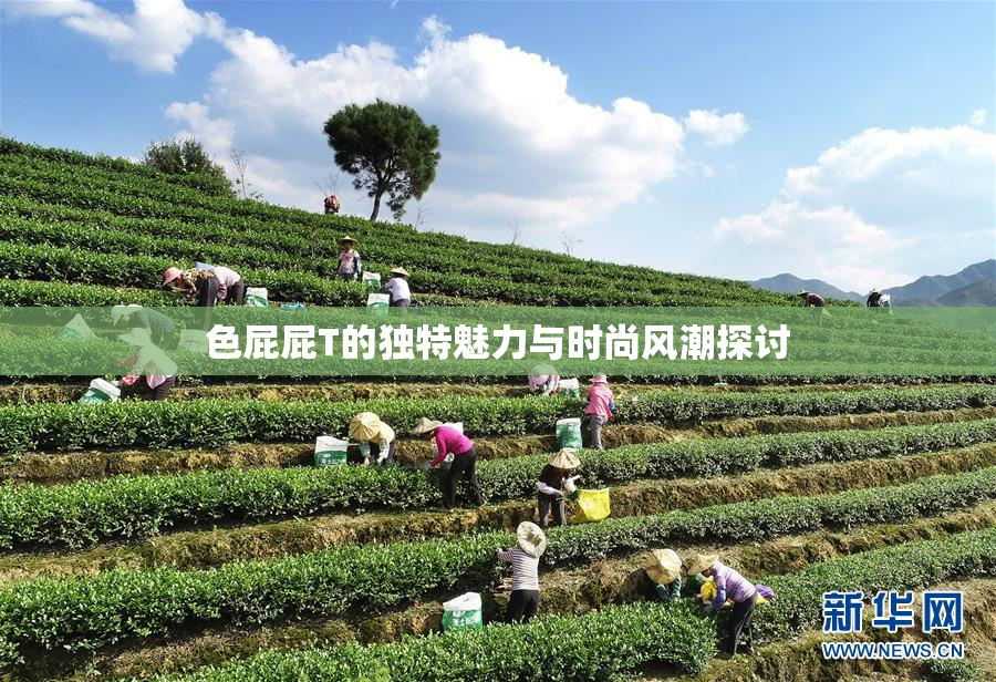 色屁屁T的独特魅力与时尚风潮探讨