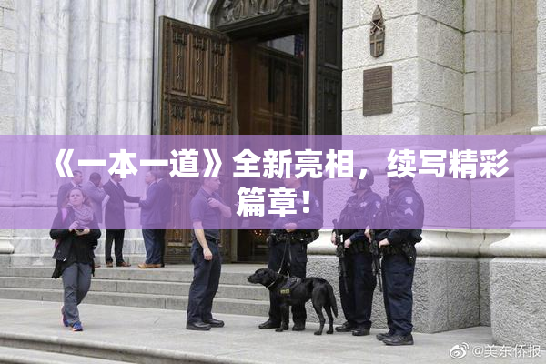 《一本一道》全新亮相，续写精彩篇章！