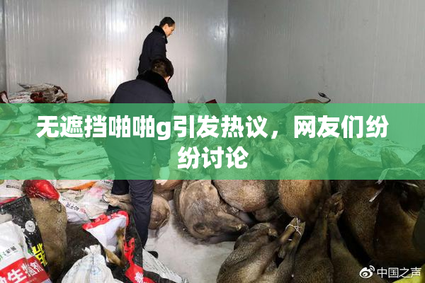 无遮挡啪啪g引发热议，网友们纷纷讨论
