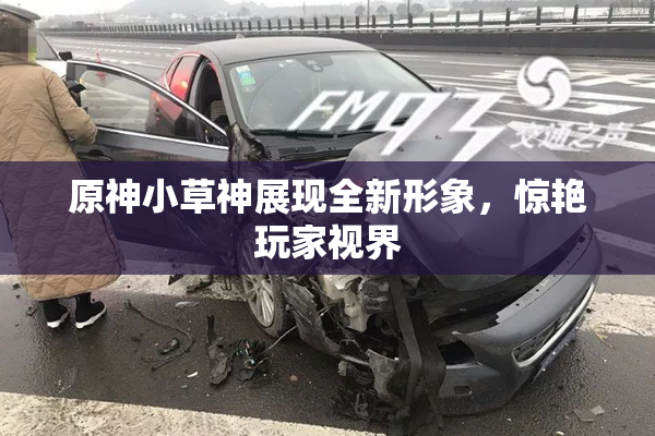 原神小草神展现全新形象，惊艳玩家视界