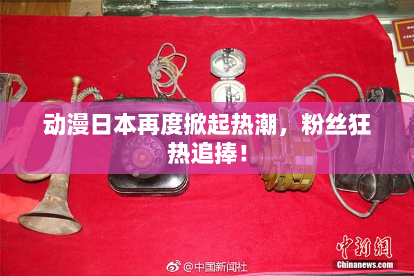 动漫日本再度掀起热潮，粉丝狂热追捧！