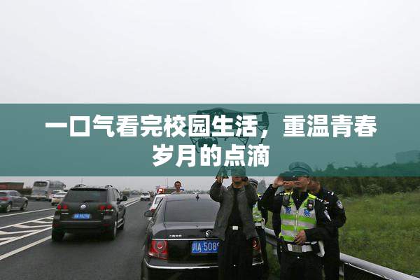 一口气看完校园生活，重温青春岁月的点滴