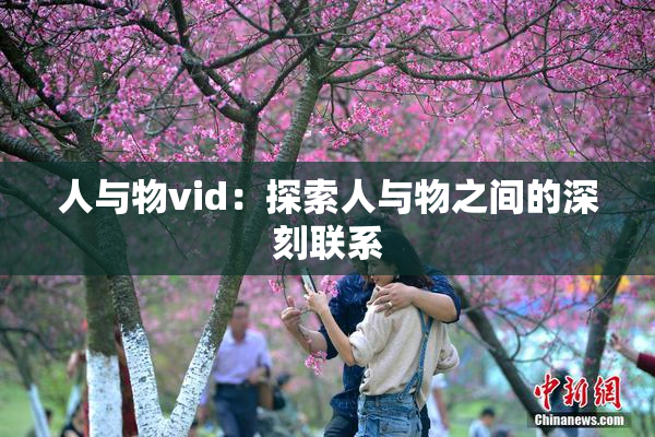 人与物vid：探索人与物之间的深刻联系