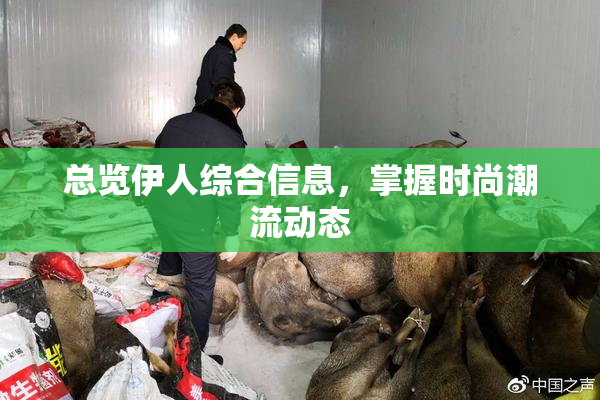 总览伊人综合信息，掌握时尚潮流动态