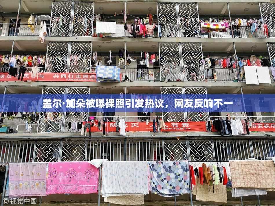 盖尔·加朵被曝裸照引发热议，网友反响不一