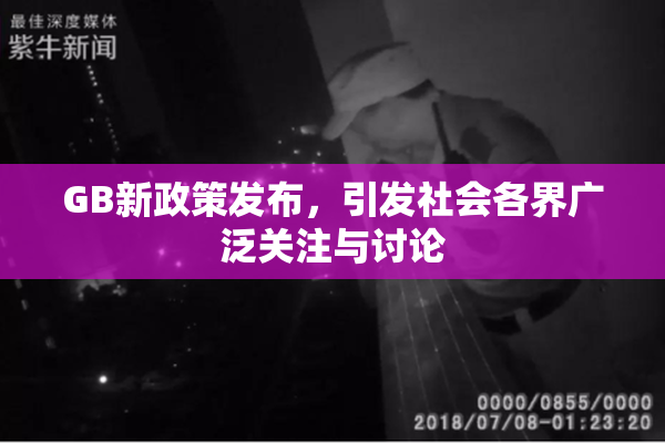 GB新政策发布，引发社会各界广泛关注与讨论