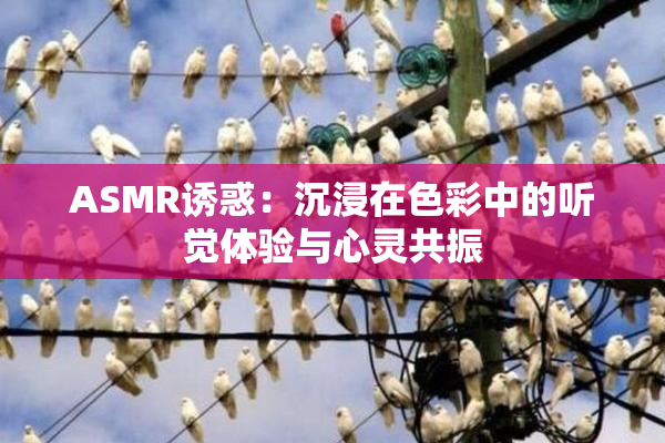ASMR诱惑：沉浸在色彩中的听觉体验与心灵共振