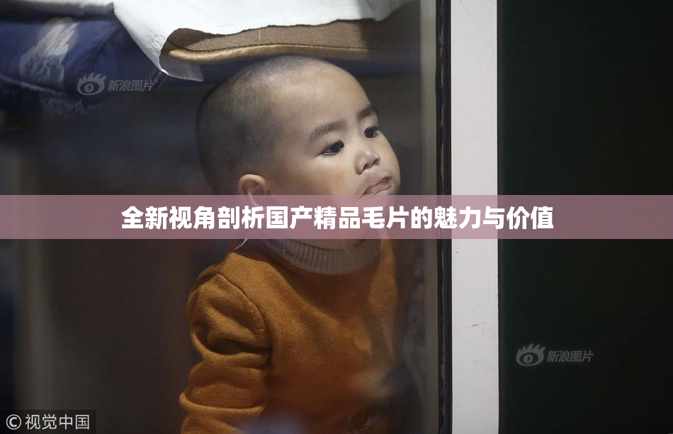 全新视角剖析国产精品毛片的魅力与价值