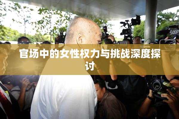 官场中的女性权力与挑战深度探讨