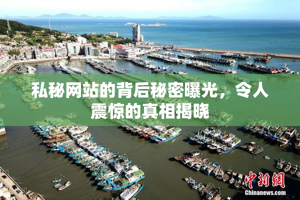 私秘网站的背后秘密曝光，令人震惊的真相揭晓