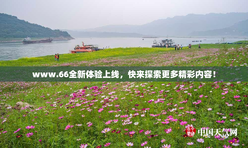 www.66全新体验上线，快来探索更多精彩内容！