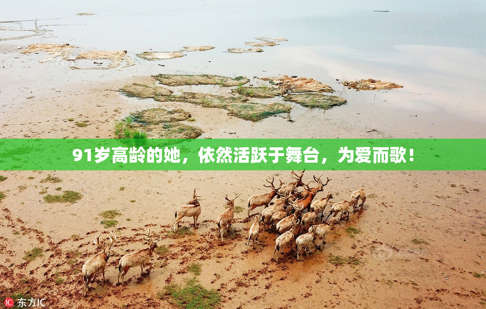 91岁高龄的她，依然活跃于舞台，为爱而歌！