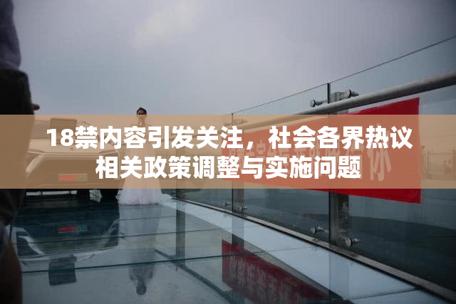 18禁内容引发关注，社会各界热议相关政策调整与实施问题
