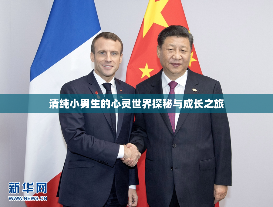 清纯小男生的心灵世界探秘与成长之旅