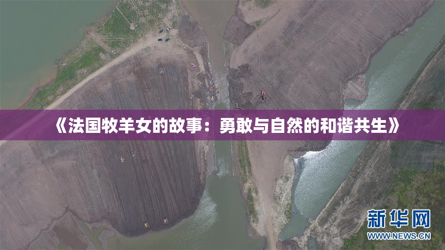 《法国牧羊女的故事：勇敢与自然的和谐共生》