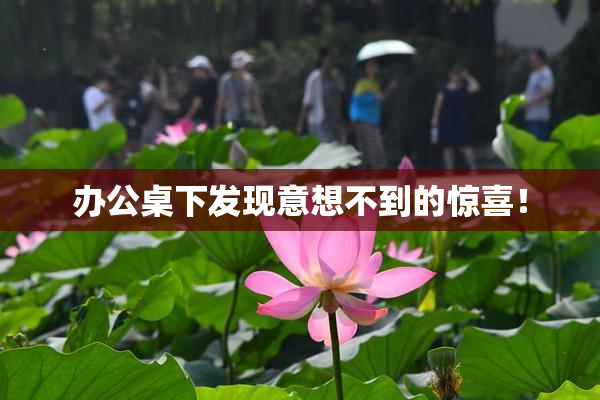办公桌下发现意想不到的惊喜！