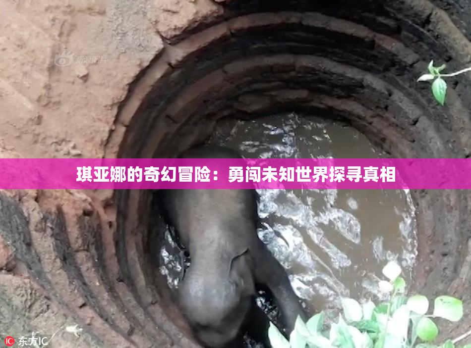 琪亚娜的奇幻冒险：勇闯未知世界探寻真相