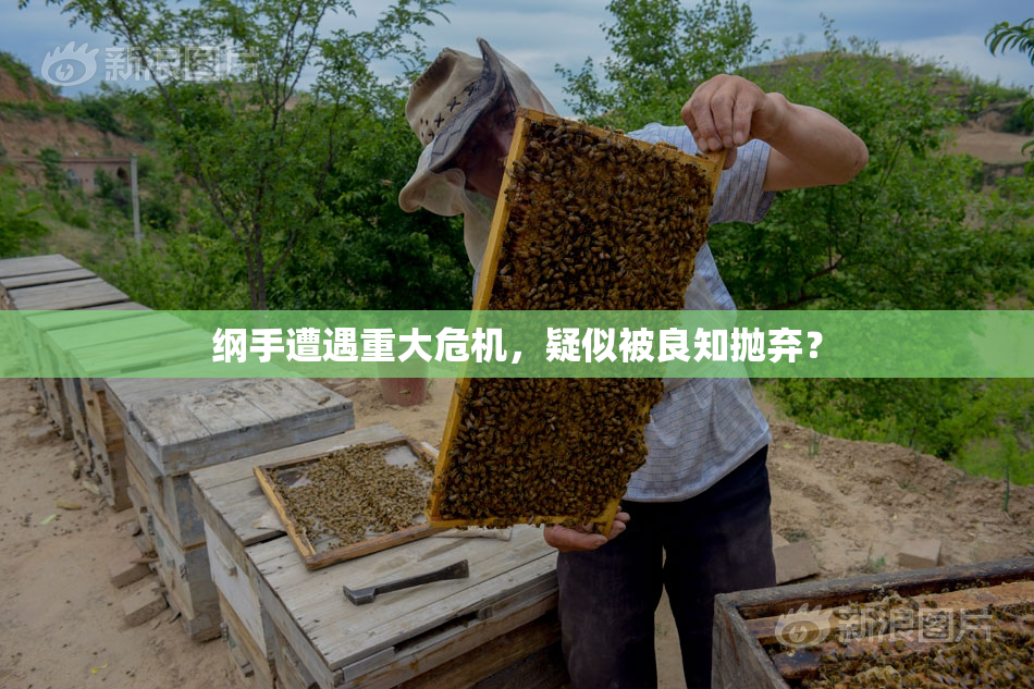 纲手遭遇重大危机，疑似被良知抛弃？