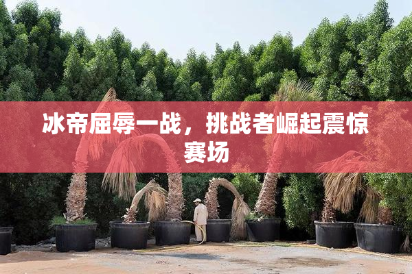 冰帝屈辱一战，挑战者崛起震惊赛场