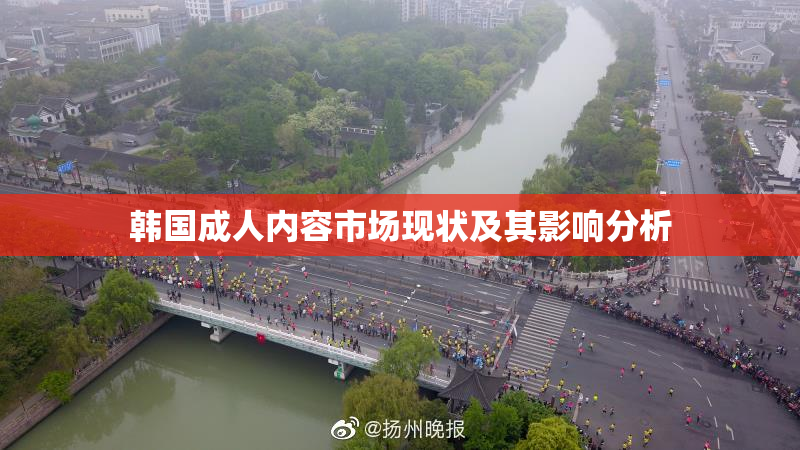 韩国成人内容市场现状及其影响分析