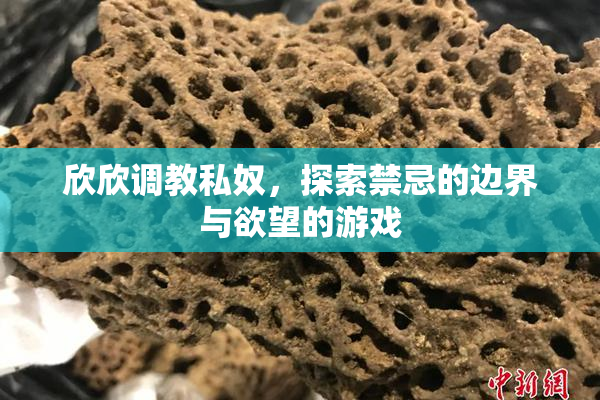 欣欣调教私奴，探索禁忌的边界与欲望的游戏