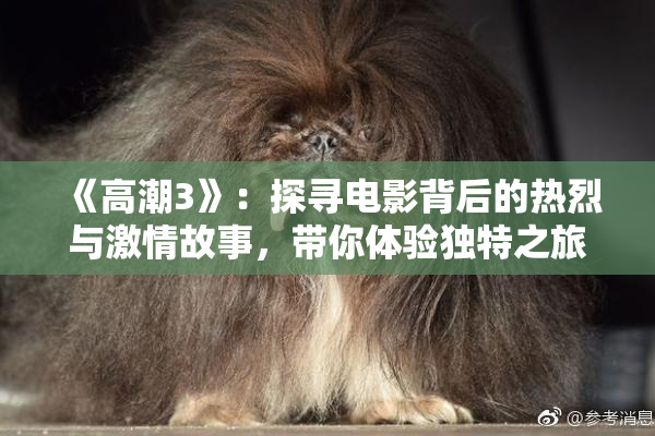《高潮3》：探寻电影背后的热烈与激情故事，带你体验独特之旅。