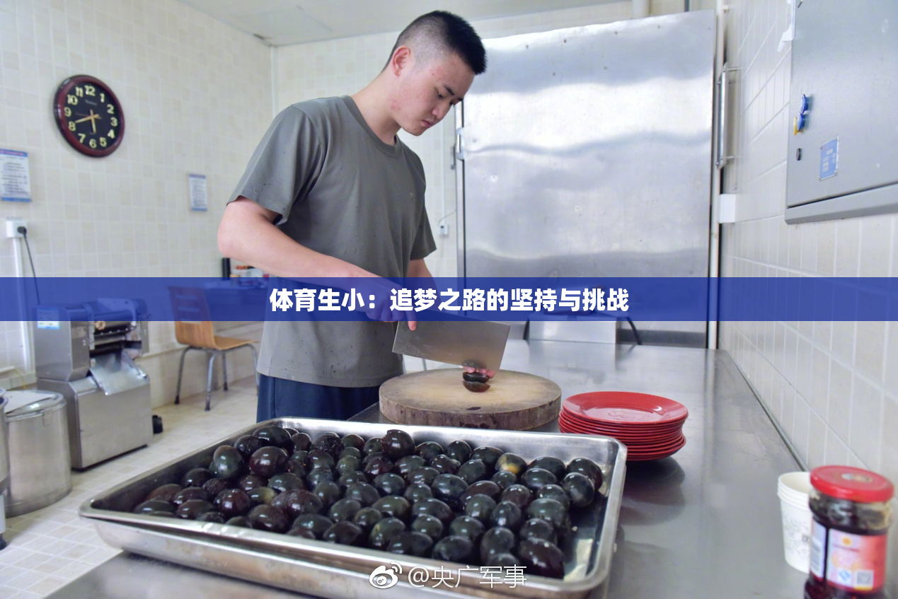 体育生小：追梦之路的坚持与挑战