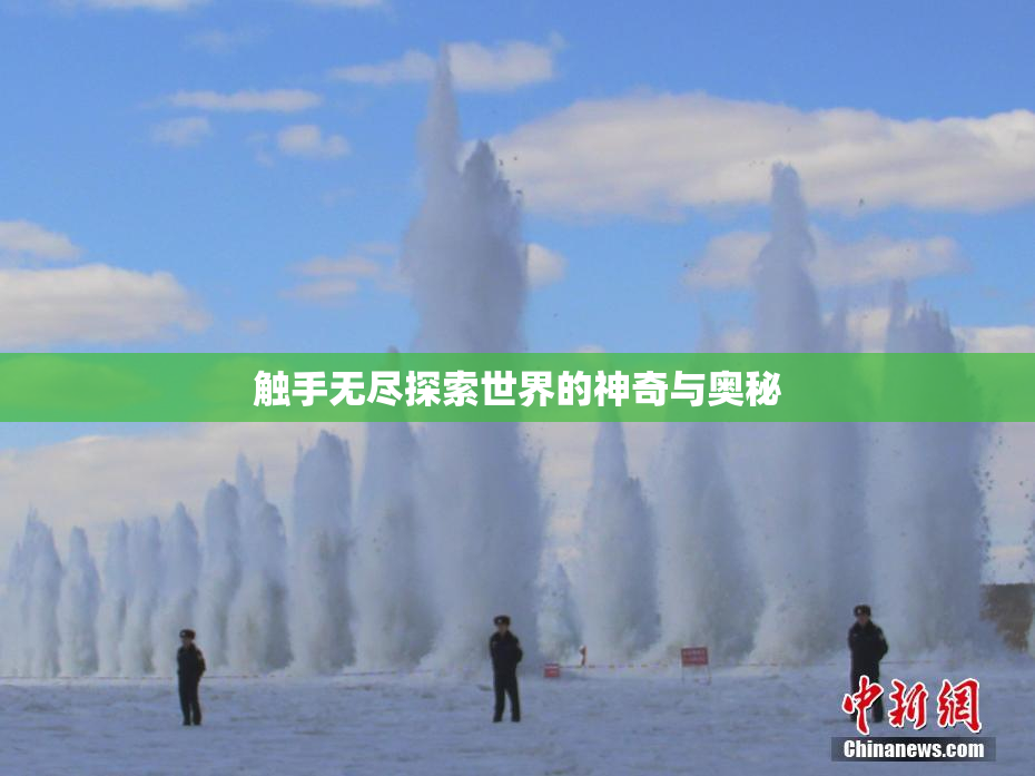 触手无尽探索世界的神奇与奥秘