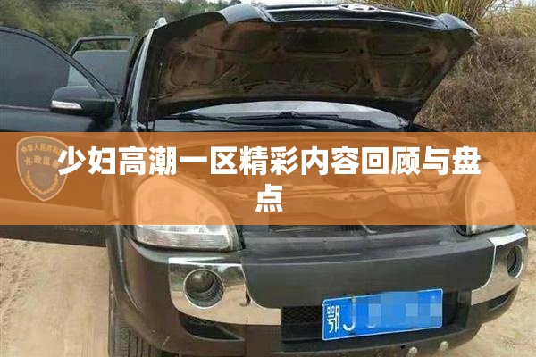 少妇高潮一区精彩内容回顾与盘点