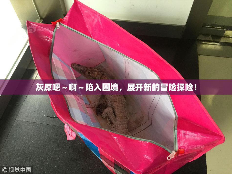 灰原嗯～啊～陷入困境，展开新的冒险探险！