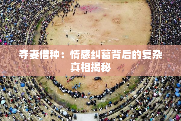 夺妻借种：情感纠葛背后的复杂真相揭秘