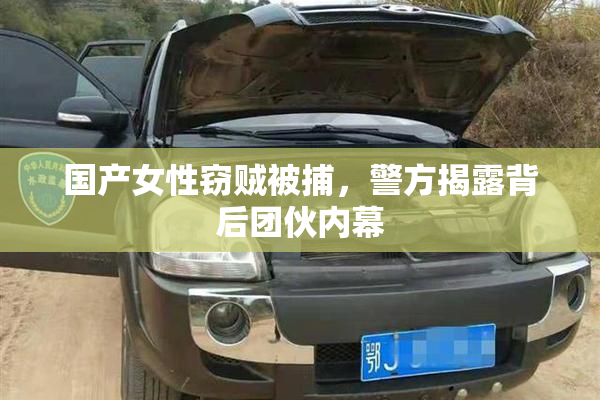 国产女性窃贼被捕，警方揭露背后团伙内幕