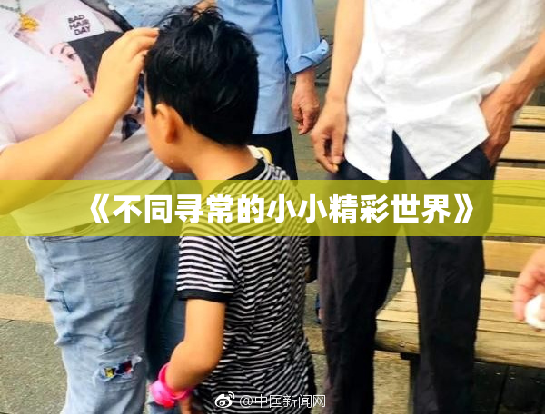 《不同寻常的小小精彩世界》