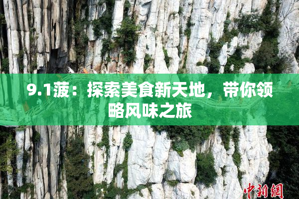 9.1菠：探索美食新天地，带你领略风味之旅
