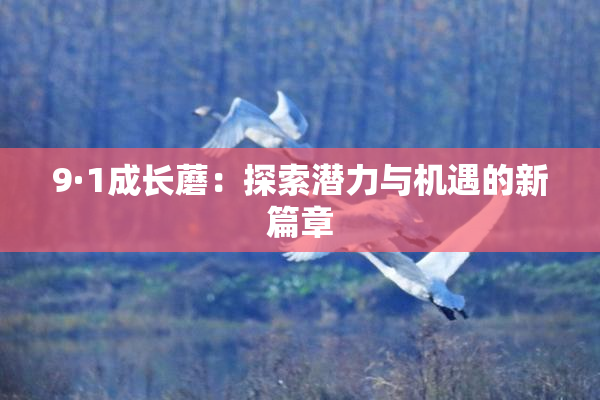 9·1成长蘑：探索潜力与机遇的新篇章