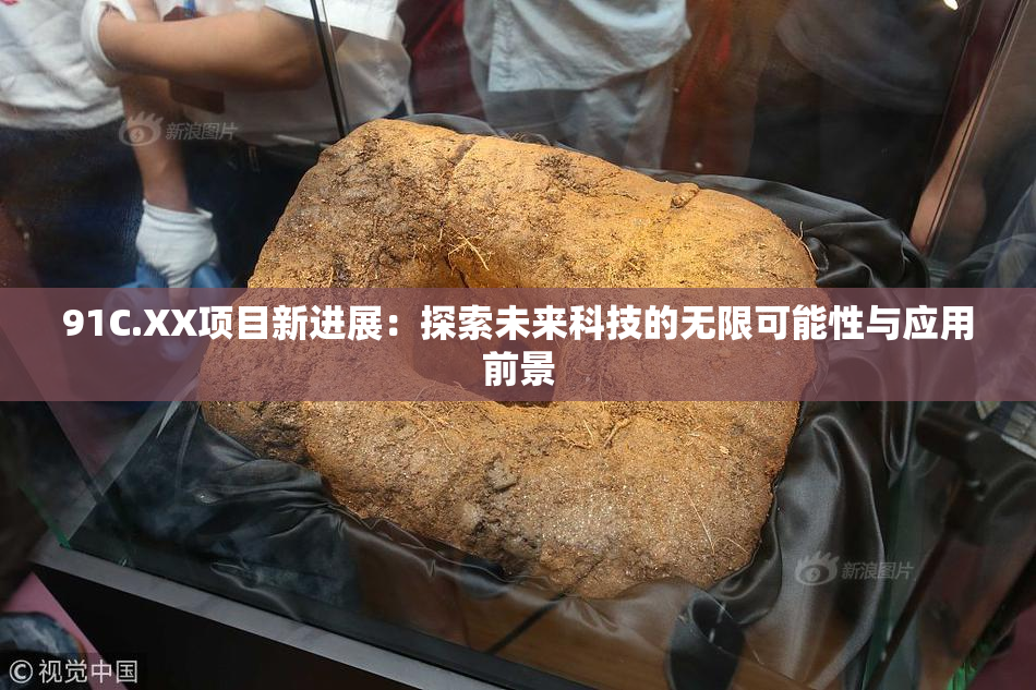 91C.XX项目新进展：探索未来科技的无限可能性与应用前景
