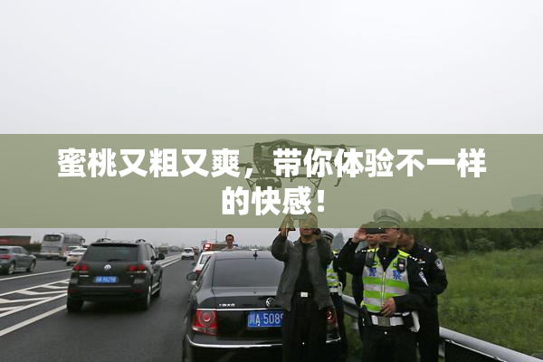 蜜桃又粗又爽，带你体验不一样的快感！