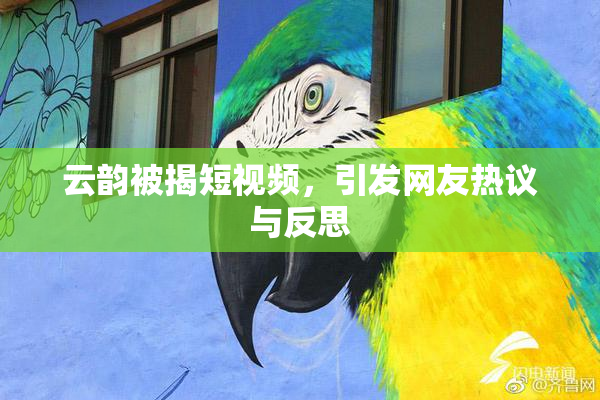 云韵被揭短视频，引发网友热议与反思
