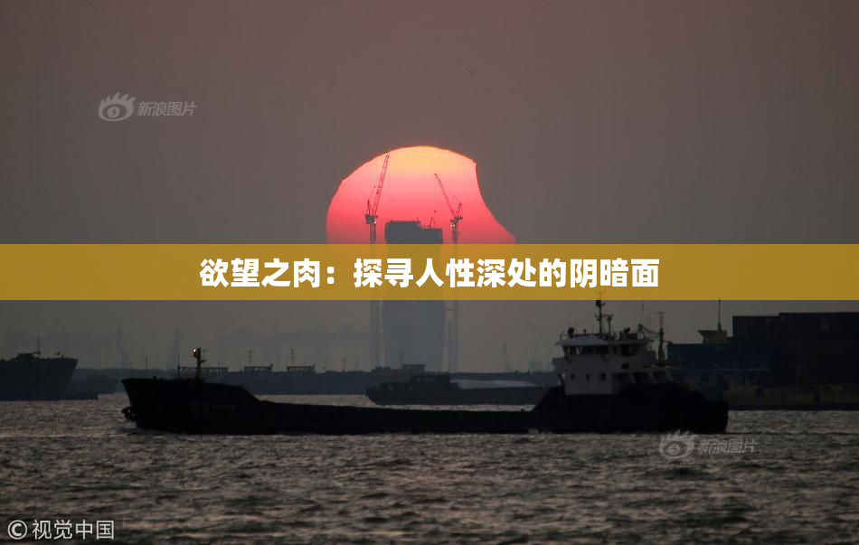 欲望之肉：探寻人性深处的阴暗面